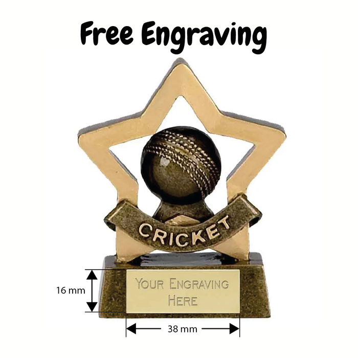 Mini Star Cricket Award Trophy 8cm